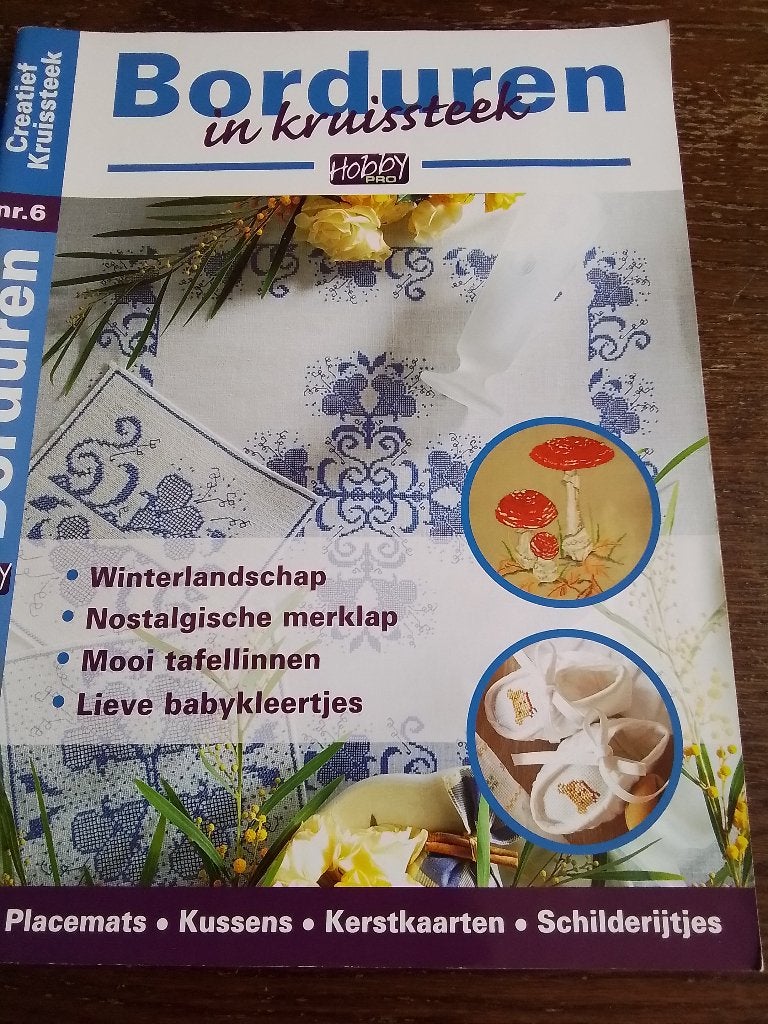 Borduren in kruissteek nummer 6, Ophalen of Verzenden, Zo goed als nieuw, Handborduren, Patroon