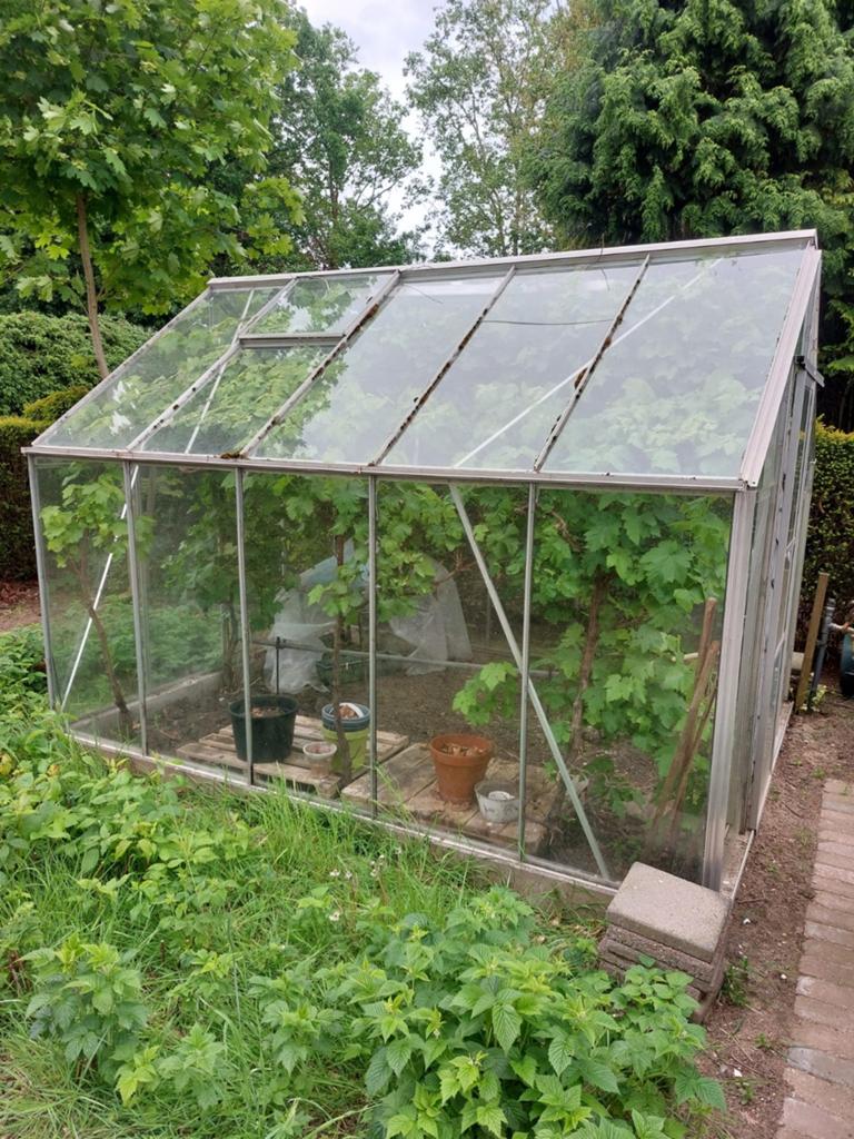 Glazen tuin/kweekkas, Ophalen of Verzenden, Glas, Gebruikt, Aluminium