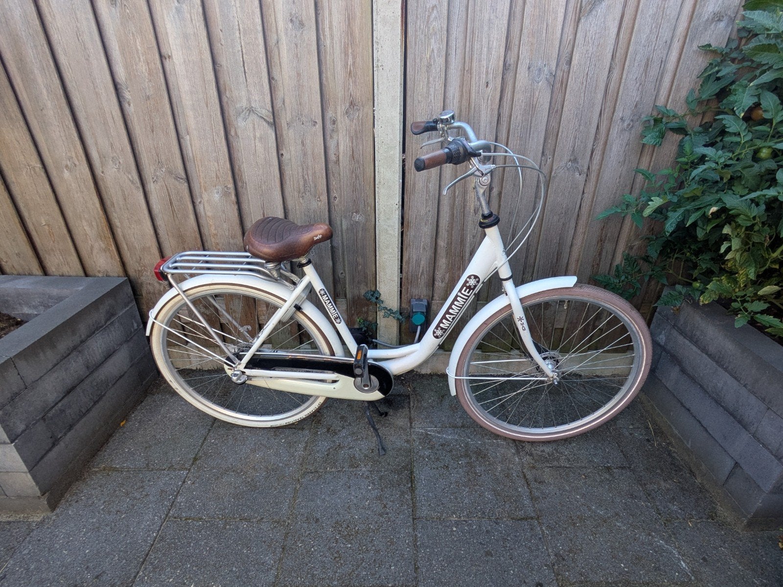 Mammie damesfiets met lage instap, Terugtraprem, 50 tot 53 cm, Ophalen, Overige merken