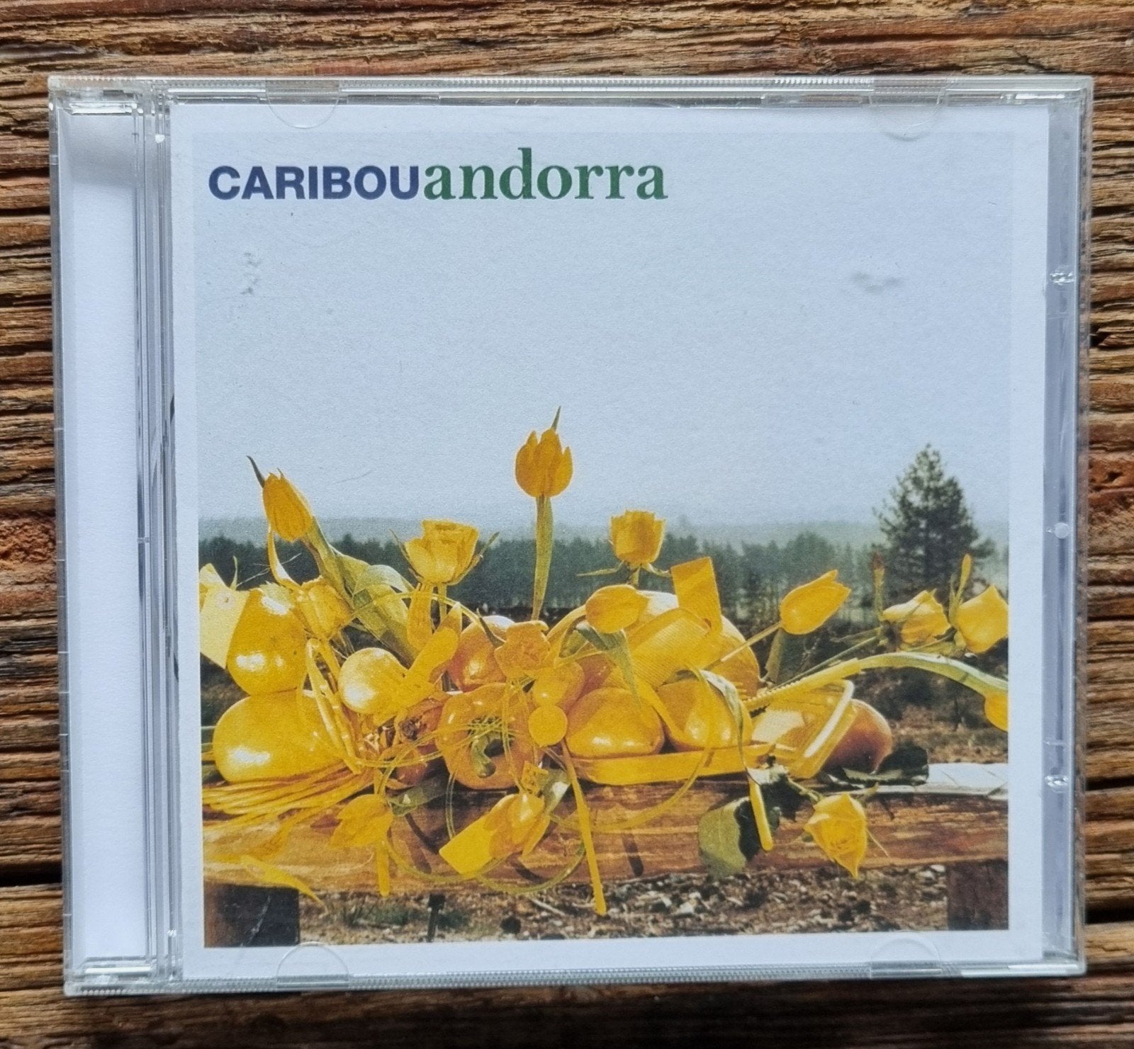 Caribou - Andorra CD (2007) - Elektronische Muziek, Ophalen of Verzenden, 2000 - 2009, Zo goed als nieuw