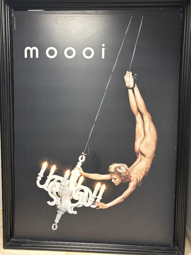 Fotokunst, Huis en Inrichting, Ophalen, Gebruikt, Oorspronkelijke maker, 125 cm of meer