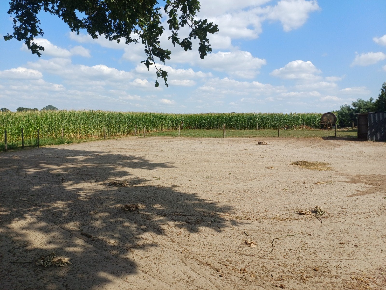 Paarden omheining pony shet Gallagher afrastering met stroom