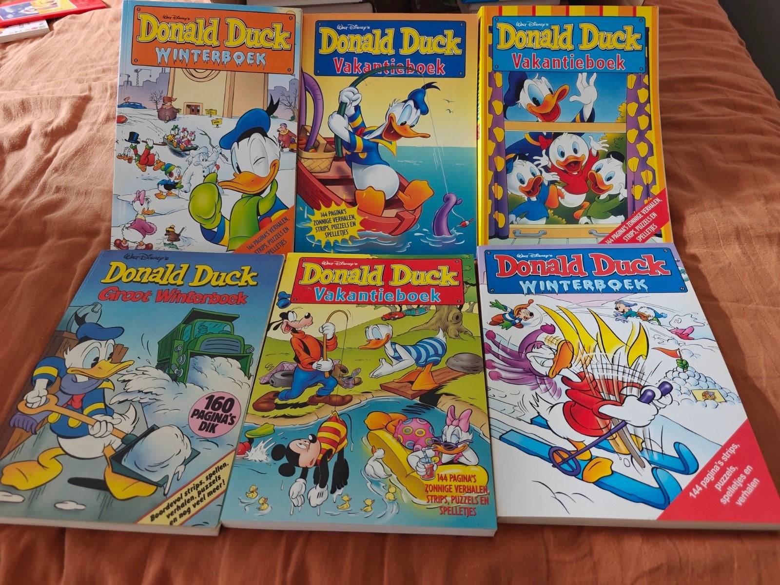 Donald Duck Vakantie- en Winterboeken (6 stuks), Gelezen, Ophalen of Verzenden, Walt Disney  Donald duck, Meerdere stripboeken