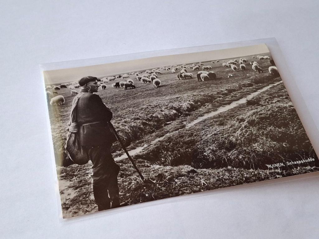 Ruinen Schaapskudde, Verzenden, 1940 tot 1960, Ongelopen, Drenthe