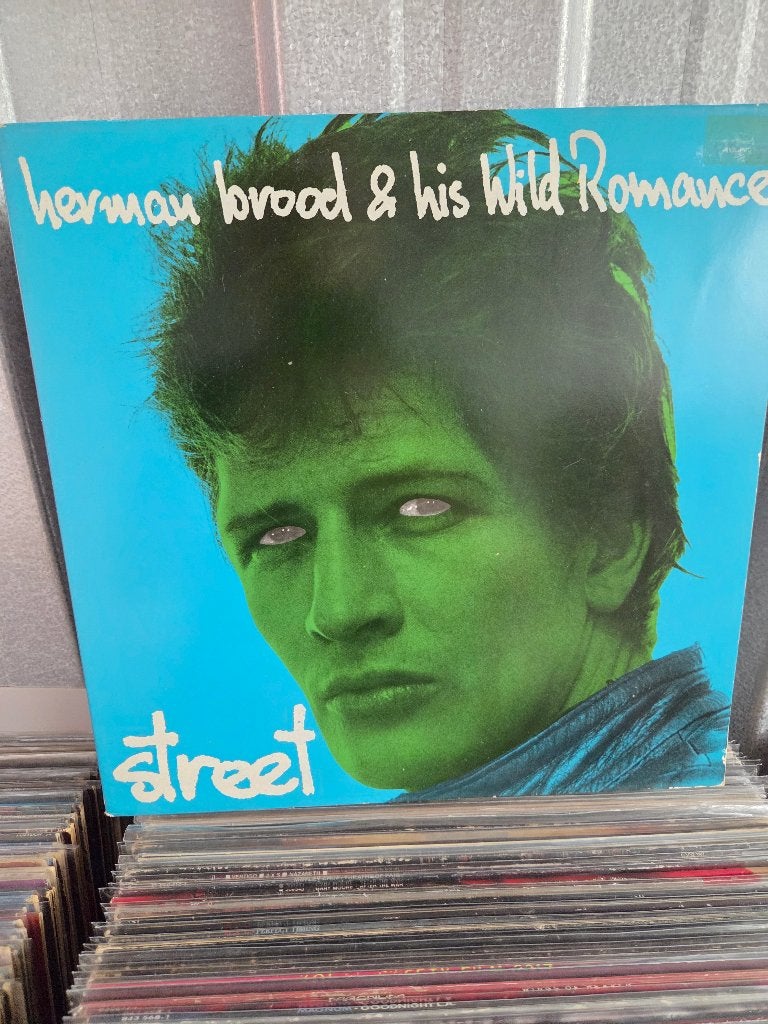 Vinyl lp HERMAN BROOD: STREET, LP, Gebruikt, Ophalen of Verzenden, 12 inch