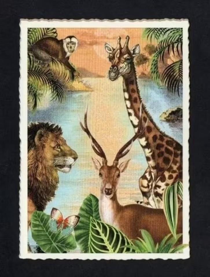 Fantasie Ansichtkaart Afrika Leeuw Giraffe Hert Vlinder., Verzamelen, Ansichtkaarten | Themakaarten, Ophalen of Verzenden, 1980 tot heden