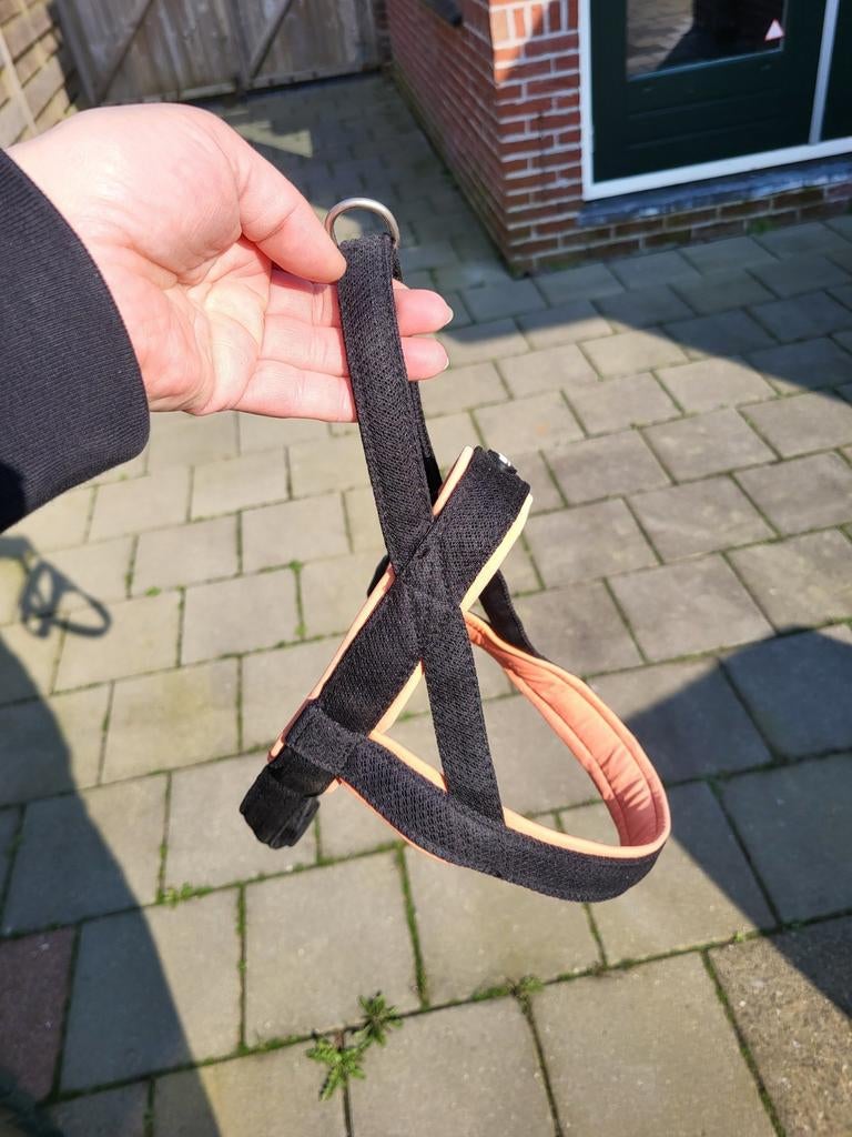 Verschillende honden tuigen, Dieren en Toebehoren, Ophalen of Verzenden, Overige soorten