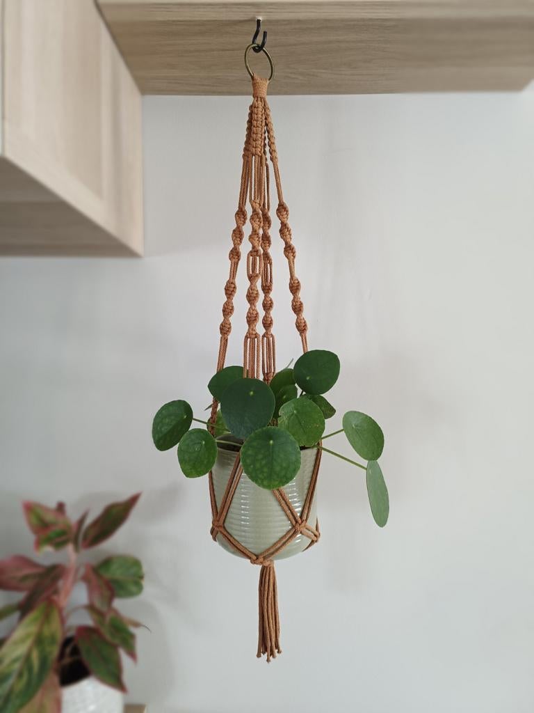Macramé plantenhanger, Boho, Nieuw, Ophalen of Verzenden, Bruin