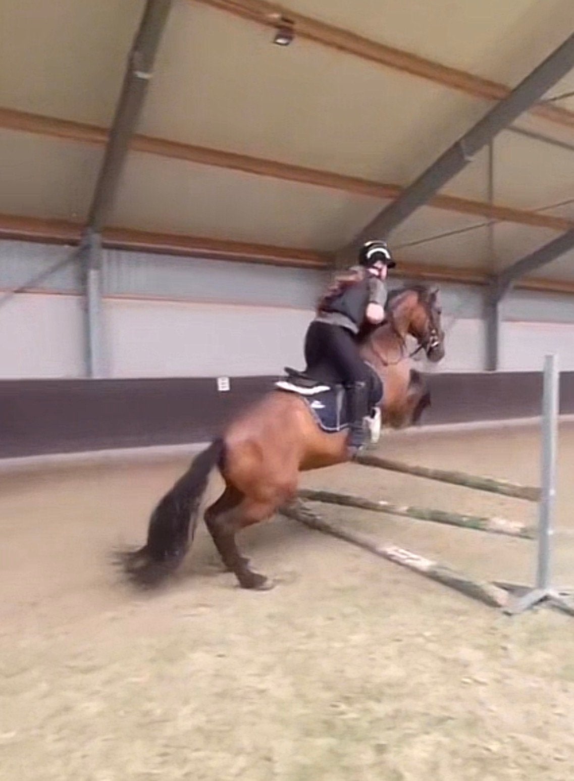 bijrijdpony gezocht enschede, Dieren en Toebehoren, Ophalen of Verzenden