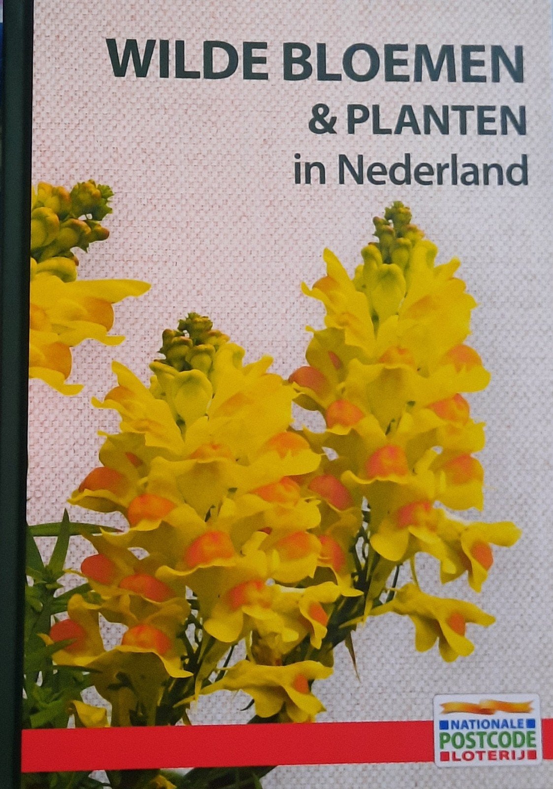 Wilde Bloemen & Planten in Nederland - Veldgids (Nieuw), Boeken, Ophalen of Verzenden, Nieuw, Bloemen, Planten en Bomen