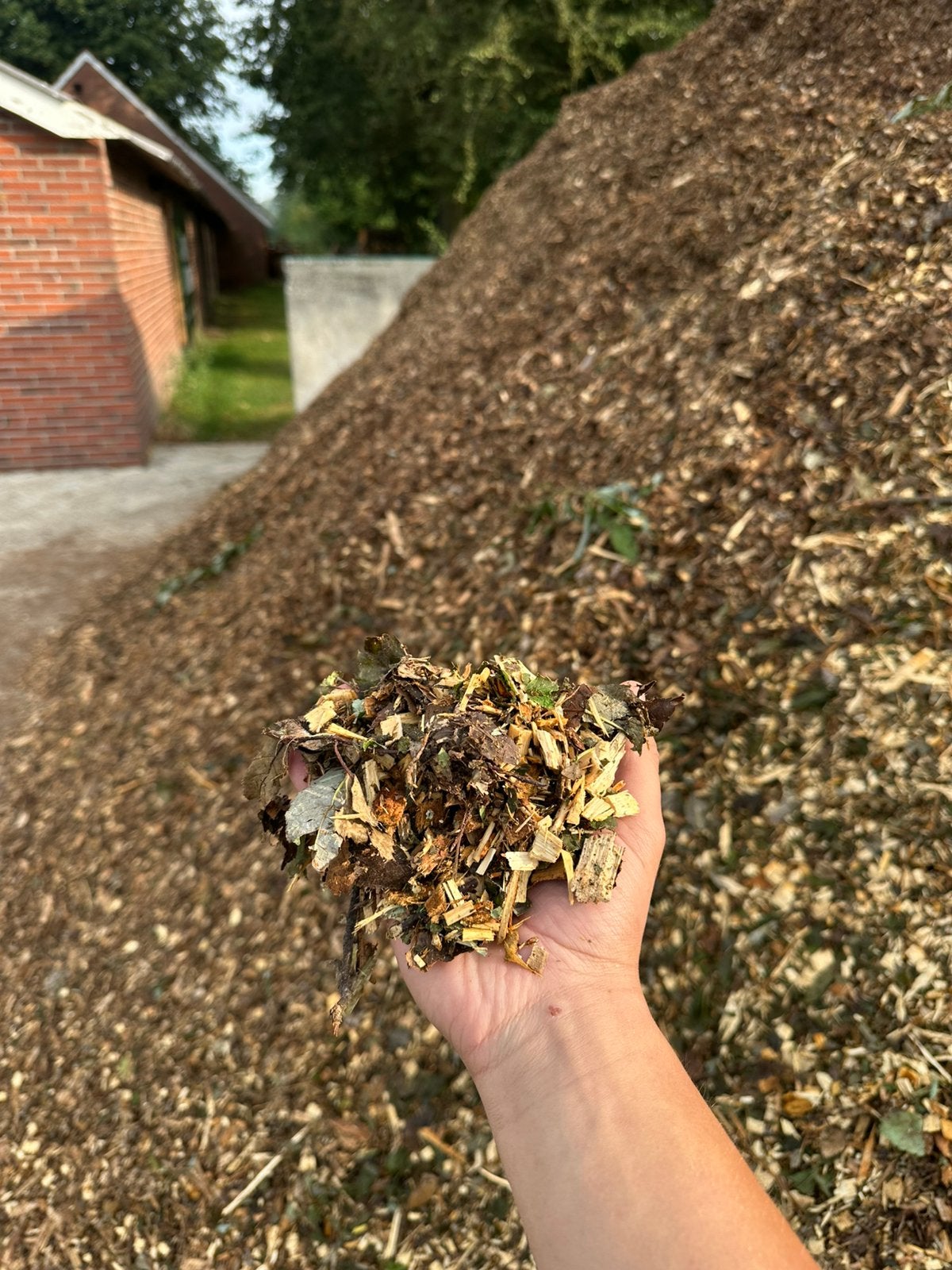 Houtsnippers 45.- per kuub, Tuin en Terras, Aarde en Mest, Ophalen, Boomschors