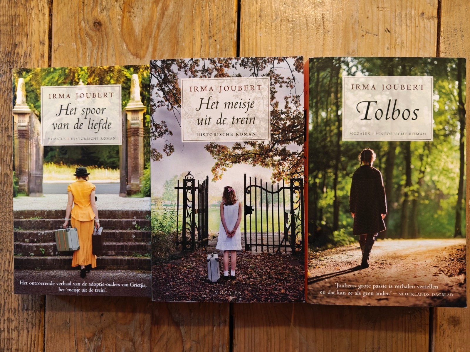 Een veilig thuis, Triologie., Boeken, Ophalen of Verzenden, Zo goed als nieuw