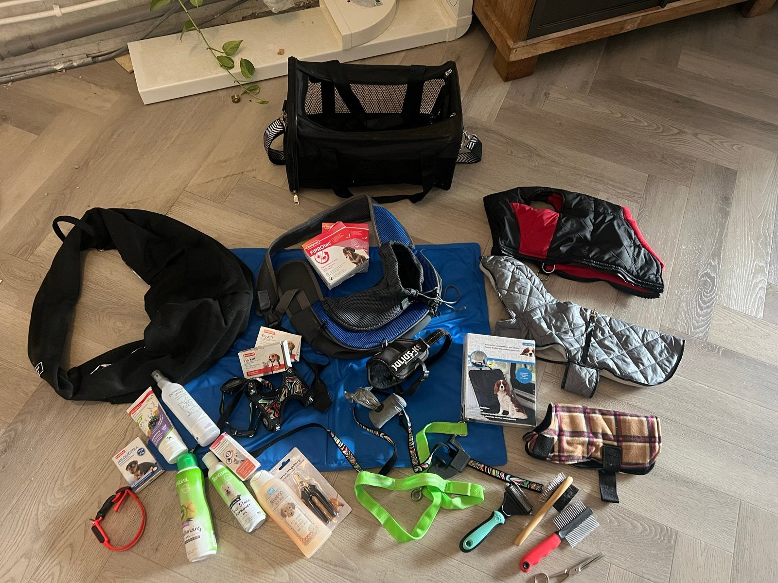Overcompleet assecoires voor hond (formaat maltezer), Ophalen of Verzenden