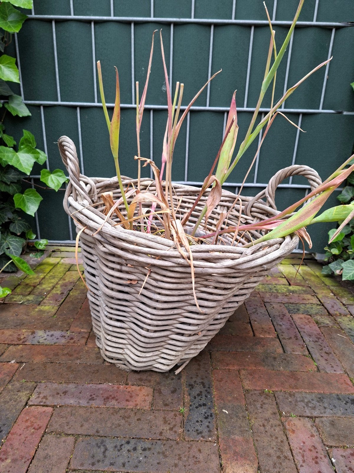 Rieten mand - Gratis, Tuin en Terras, Ophalen, Overige materialen, Gebruikt, Minder dan 60 cm