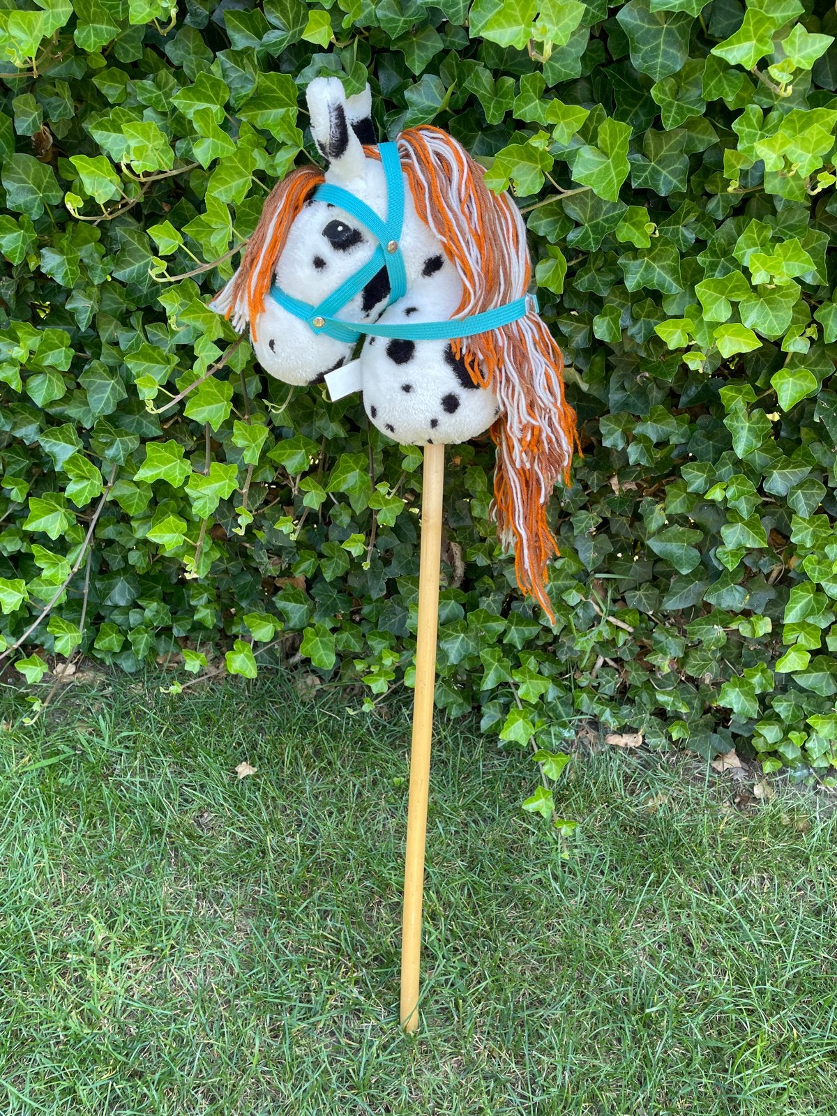 Stip het paard Fien en Teun - Hobbyhorse - Stokpaardje, Ophalen, Zo goed als nieuw, Jongen of Meisje