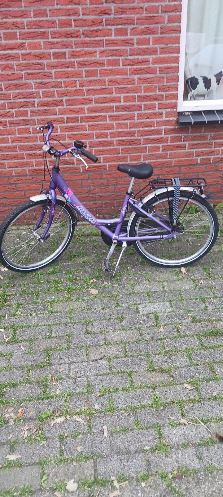 meisjesfiets, Ophalen, Gebruikt, 24 inch
