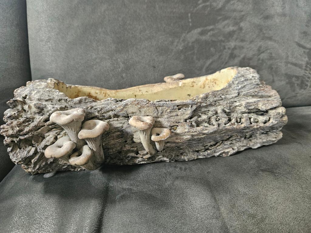 Bloembak voor bijv herfststukje, Tuin en Terras, Ophalen of Verzenden, Rond, Minder dan 30 cm