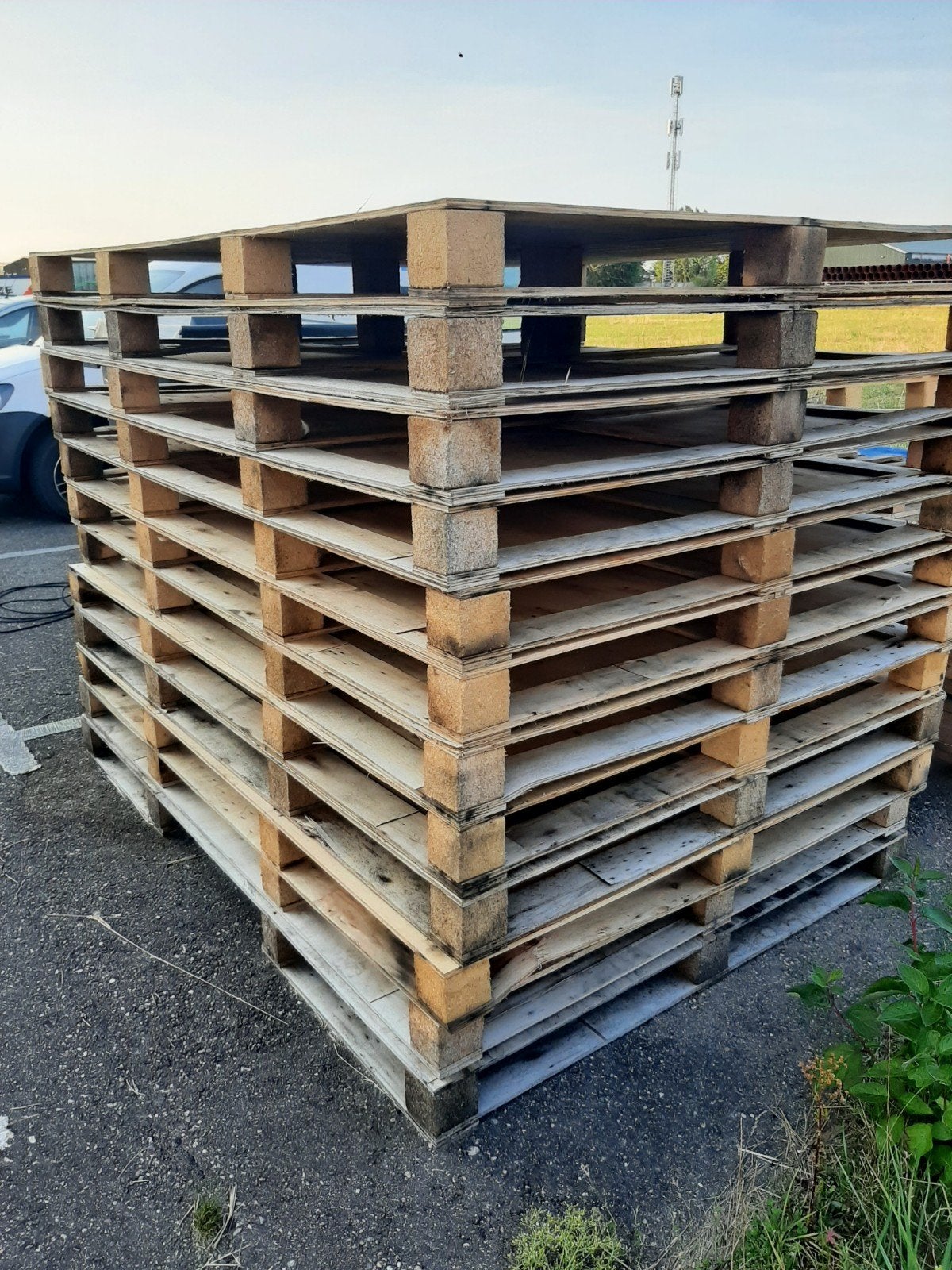 12 grote pallets, Ophalen, 50 mm of meer, Pallet, Minder dan 200 cm