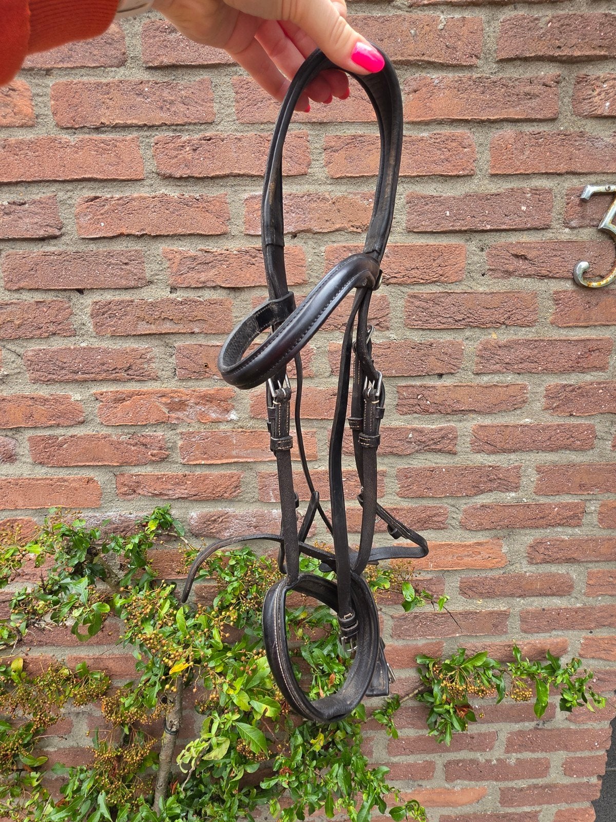 BR hoofdstel cob, Ophalen of Verzenden, BR, Hoofdstel, Cob
