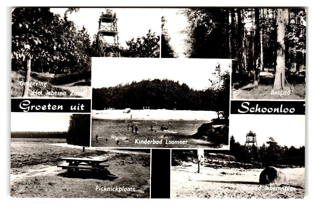 Schoonloo, Groeten uit Schoonloo. Opruimingskaart, Verzenden, 1940 tot 1960, Gelopen, Drenthe