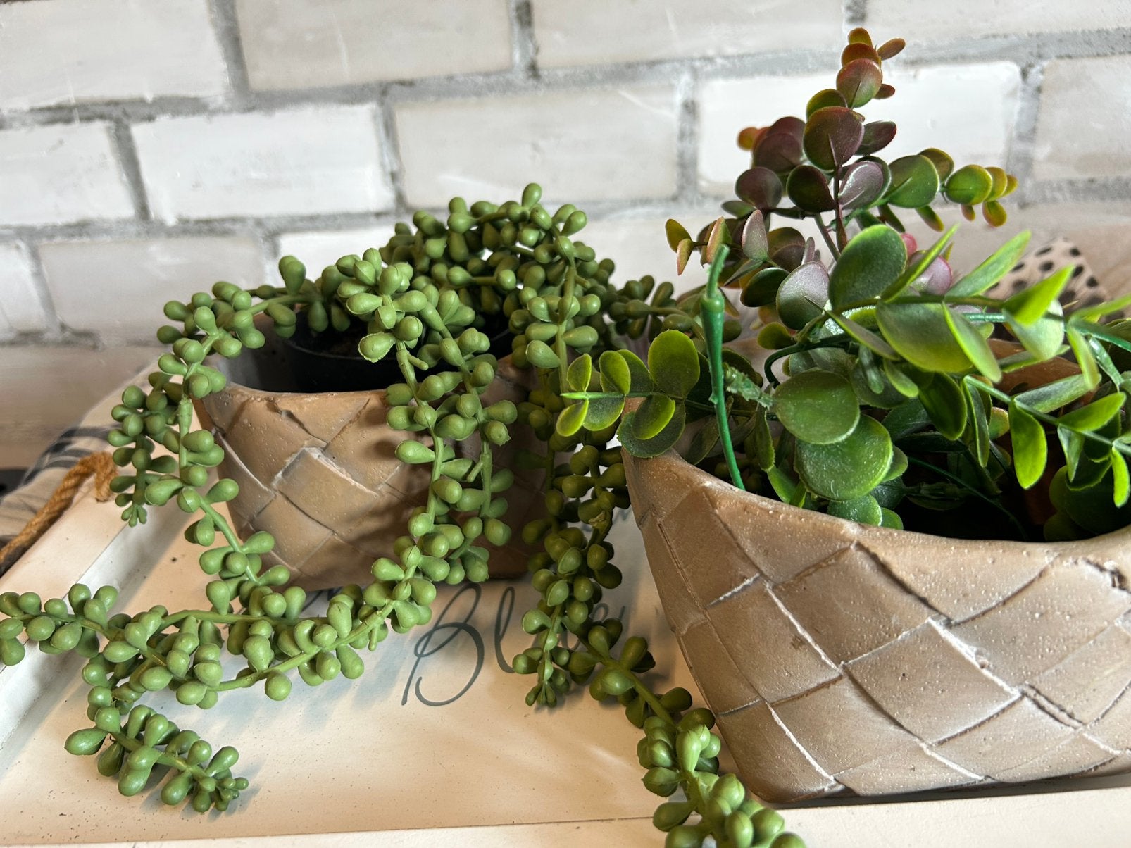 Aparte potje plant  of cactus landelijke style, Ophalen of Verzenden, Zo goed als nieuw
