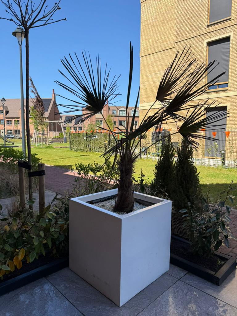 Capi Terrazzo bloempot (60x60 cm), Tuin en Terras, Bloempotten, Aardewerk, 40 tot 70 cm, 40 cm of meer, Rond, Ophalen