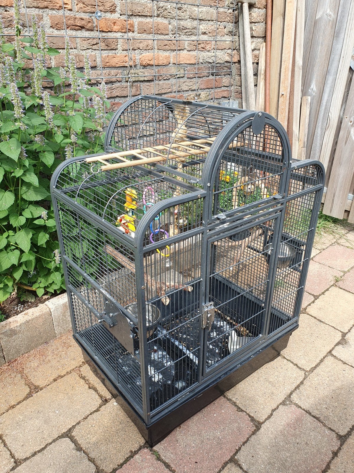 grote vogelkooi, Ophalen, Gebruikt, Metaal, Vogelkooi