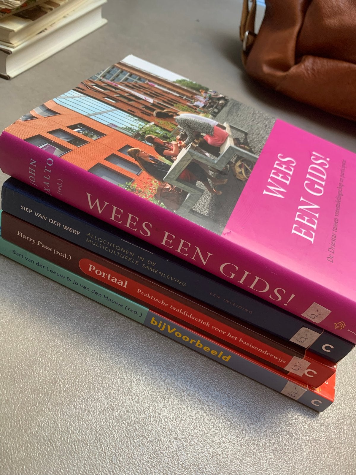 Pabo boeken: Wees een Gids!, Portaal, Allochtonen, bijVoorbe, Ophalen of Verzenden, Alpha, Gelezen, HBO