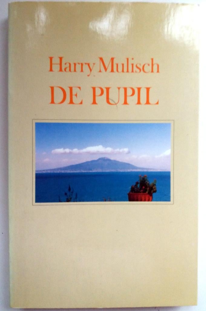 Harry Mulisch - De Pupil (Ex.2), Boeken, Literatuur, Zo goed als nieuw, Nederland, Ophalen of Verzenden