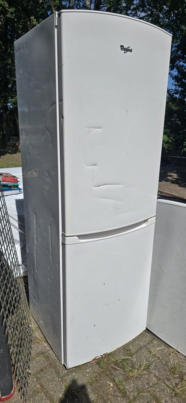 Gratis afhalen koel-vries combinatie, Ophalen, Zo goed als nieuw, Minder dan 60 cm