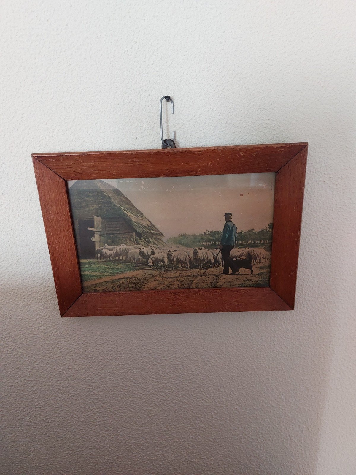 Schaapherder rond 1900. Schaapskooi., Oud hollands, Achter glas, Ophalen of Verzenden, Landschap