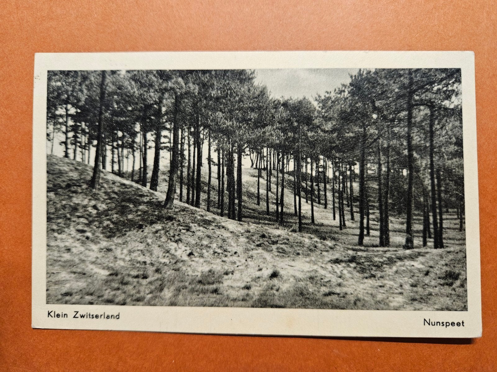 292) Nunspeet, Ophalen of Verzenden, Gelopen, Gelderland