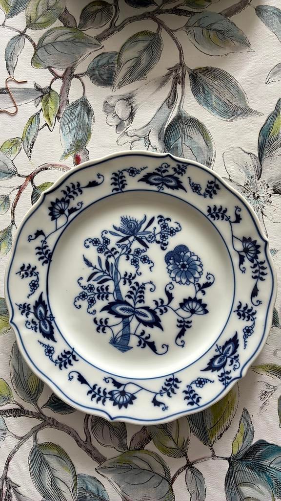 Blue Danube Japan bord met blauw uienpatroon, Ophalen of Verzenden