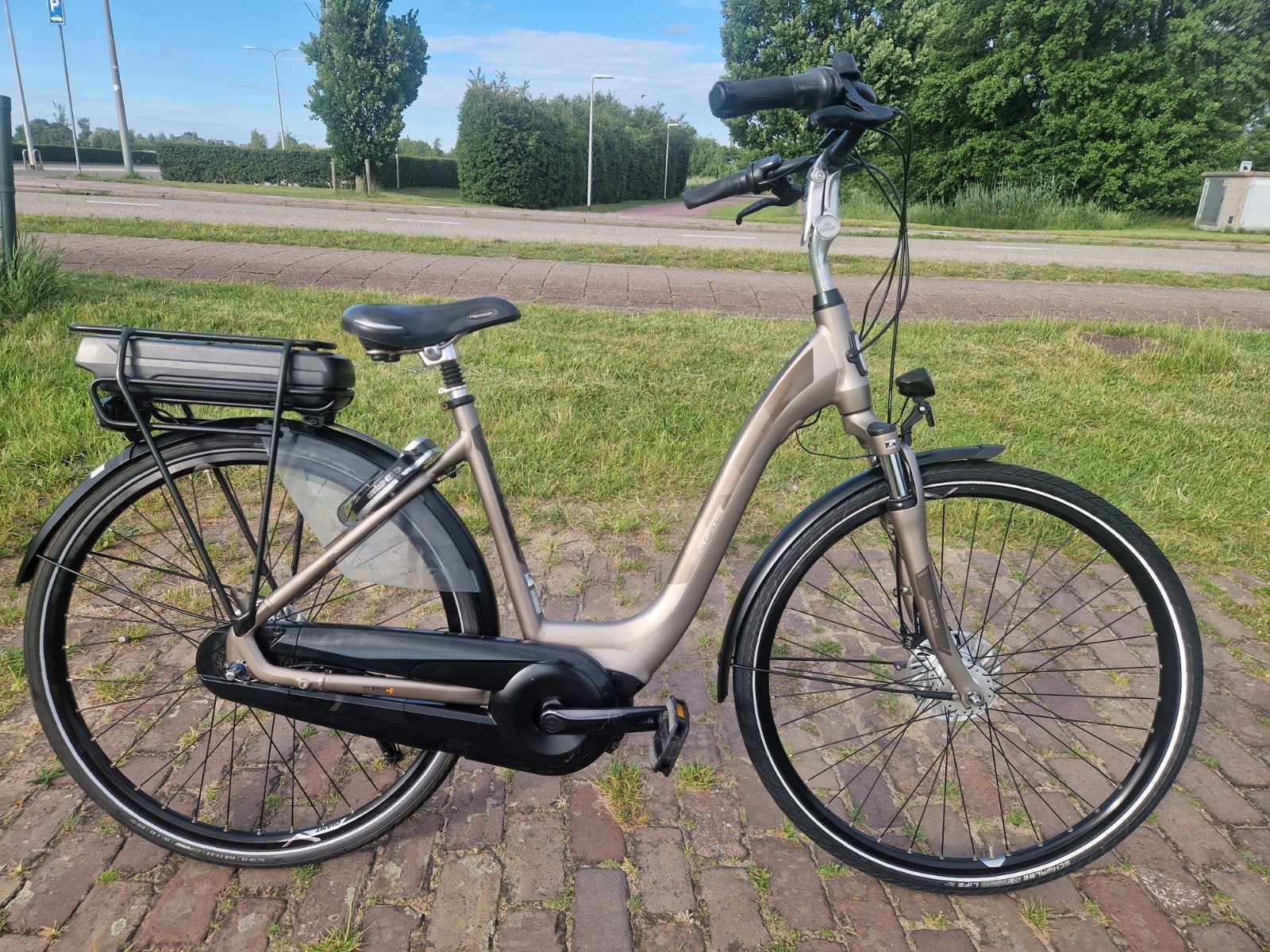 ELEKTRISCHE FIETS GIANT ELEGANCE (YAMAHA MIDDEN MOTOR), Fietsen en Brommers, Fietsen | Dames | Damesfietsen, Ophalen, Zo goed als nieuw