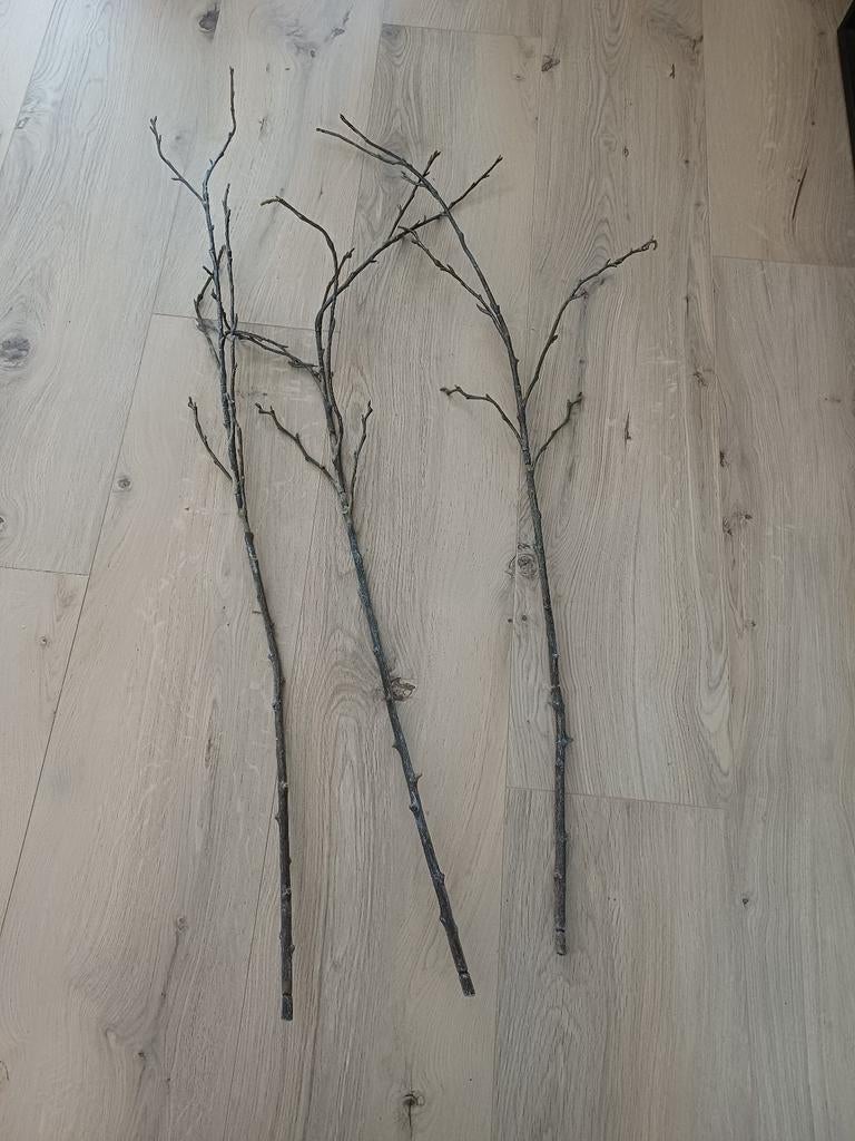 Decoratietakken - Set van 3, Huis en Inrichting, Woonaccessoires | Overige, Gebruikt, Ophalen