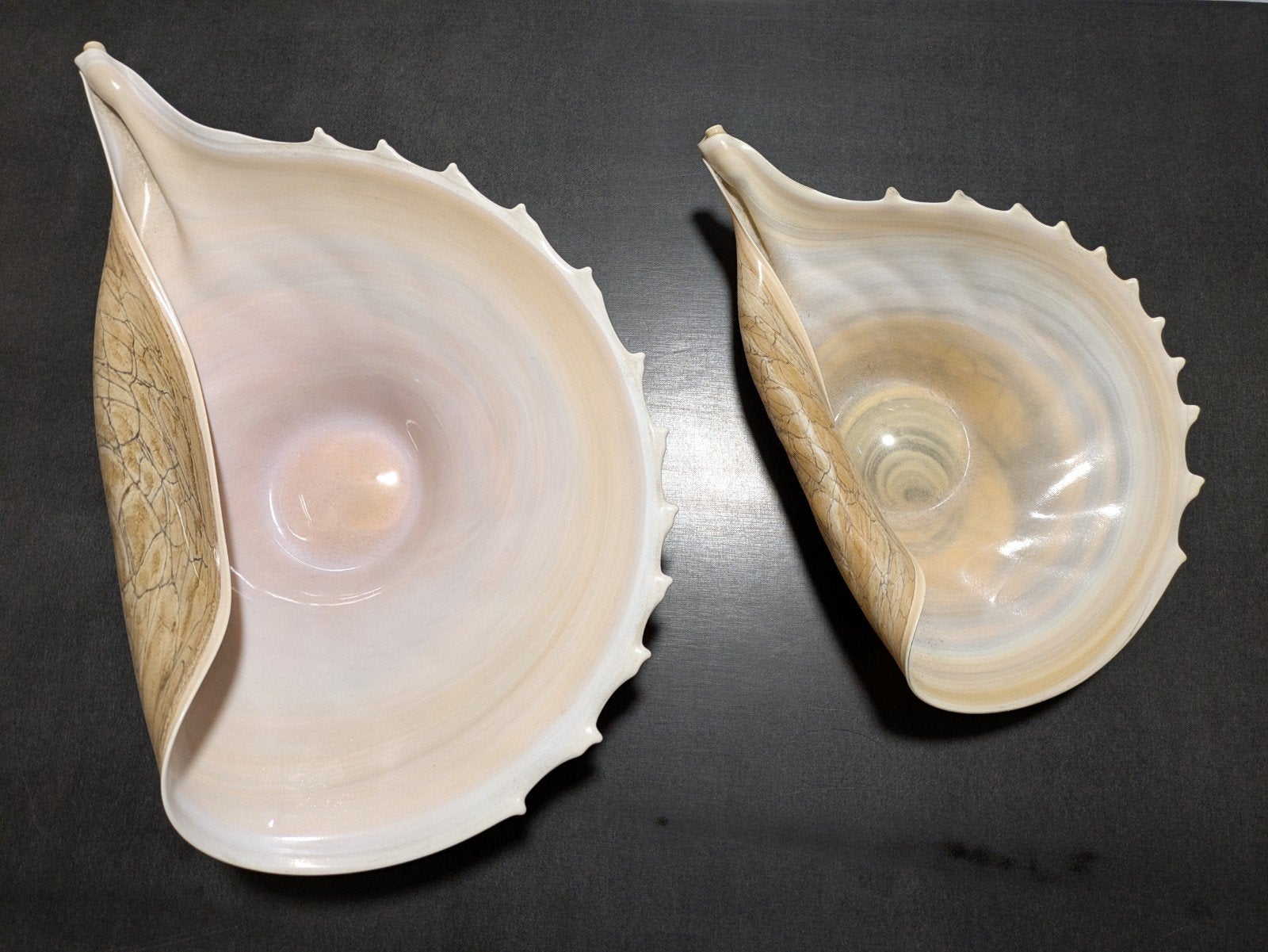 Decoratieve Schelpen Set - Keramiek, Ophalen