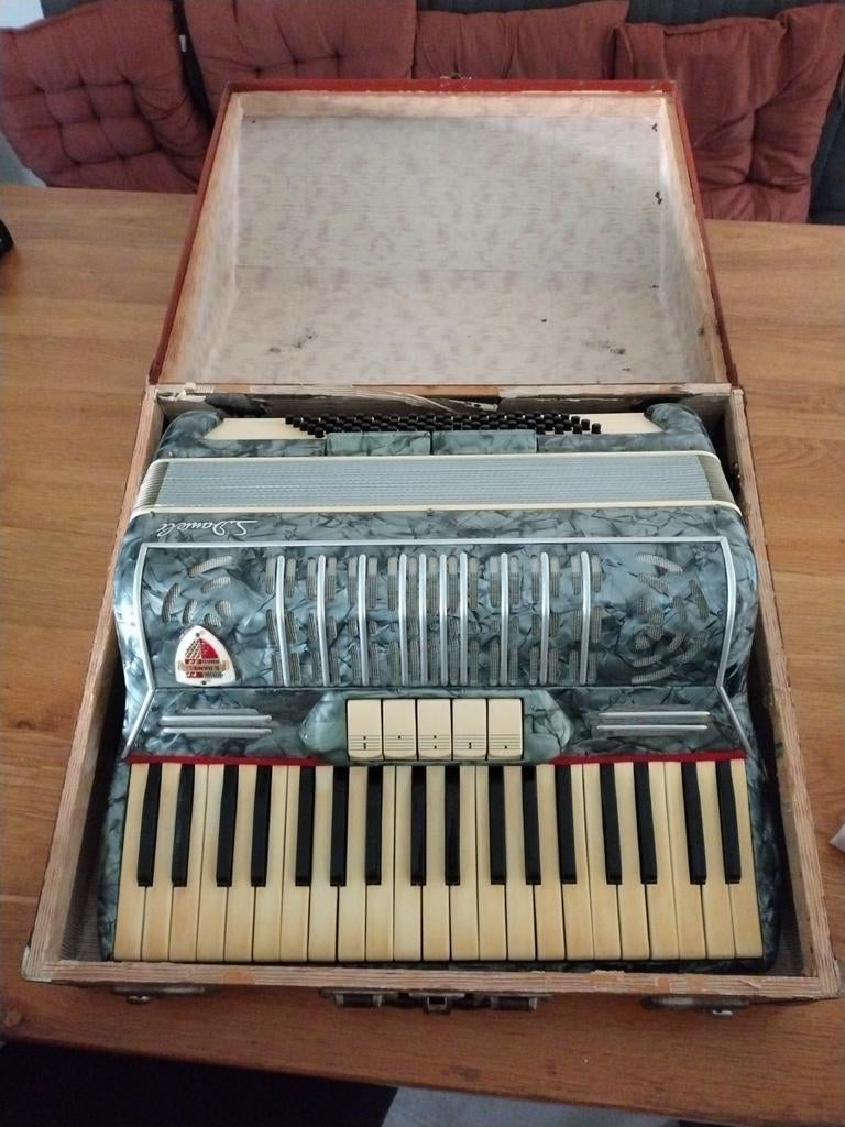 Accordeon S.Danieli - Vintage Toetsaccordeon met Koffer, Gebruikt, Toetsaccordeon, Met koffer, 120-bas