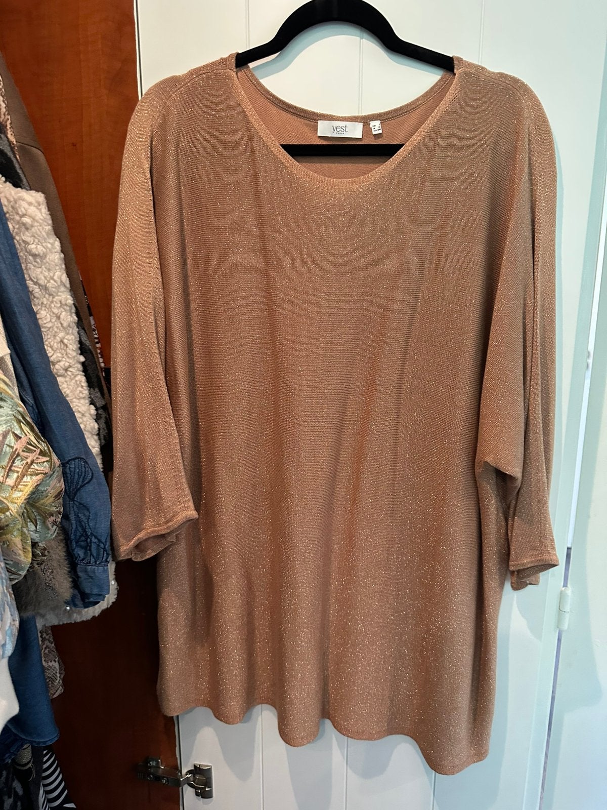 Yest truitje maat 3, Kleding | Dames, Verzenden, Nieuw, Trui of Vest