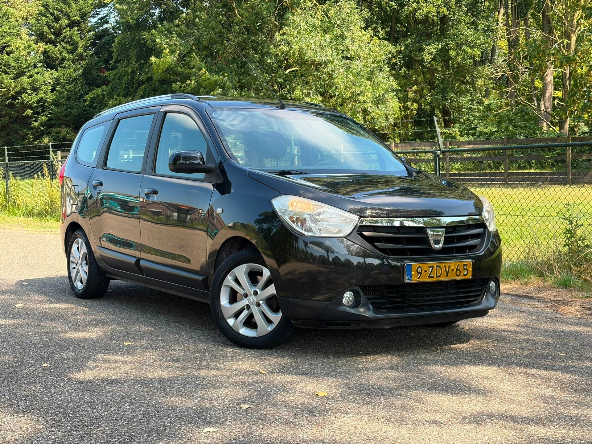 Dacia Lodgy 1.2 TCe Blackline 5p.LET OP /motorstoring, Voorwielaandrijving, Euro 5, Gebruikt, 4 cilinders