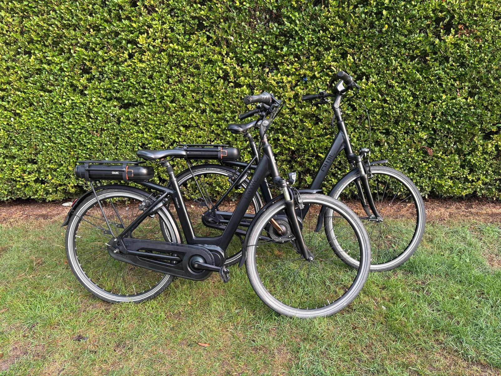 Set van 2 QWIC Premium MN7 Elektrische Fietsen – 2 x 625 Wh, Ophalen, Zo goed als nieuw, 50 km per accu of meer, Qwic