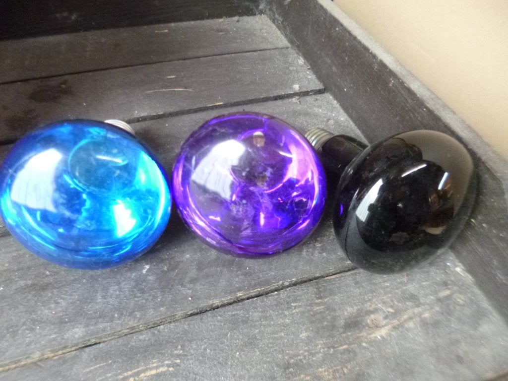 Gekleurde gloeilampen (blauw, paars, zwart), Gebruikt, Gloeilamp, Overige lichtkleuren, E27 (groot)