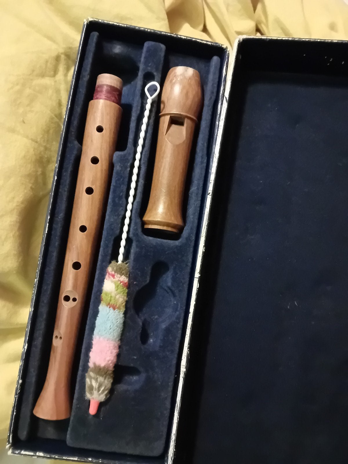 Aura blokfluit, Muziek en Instrumenten, Ophalen of Verzenden, Gebruikt, Sopraan of Sopranino, Met koffer, hoes of etui