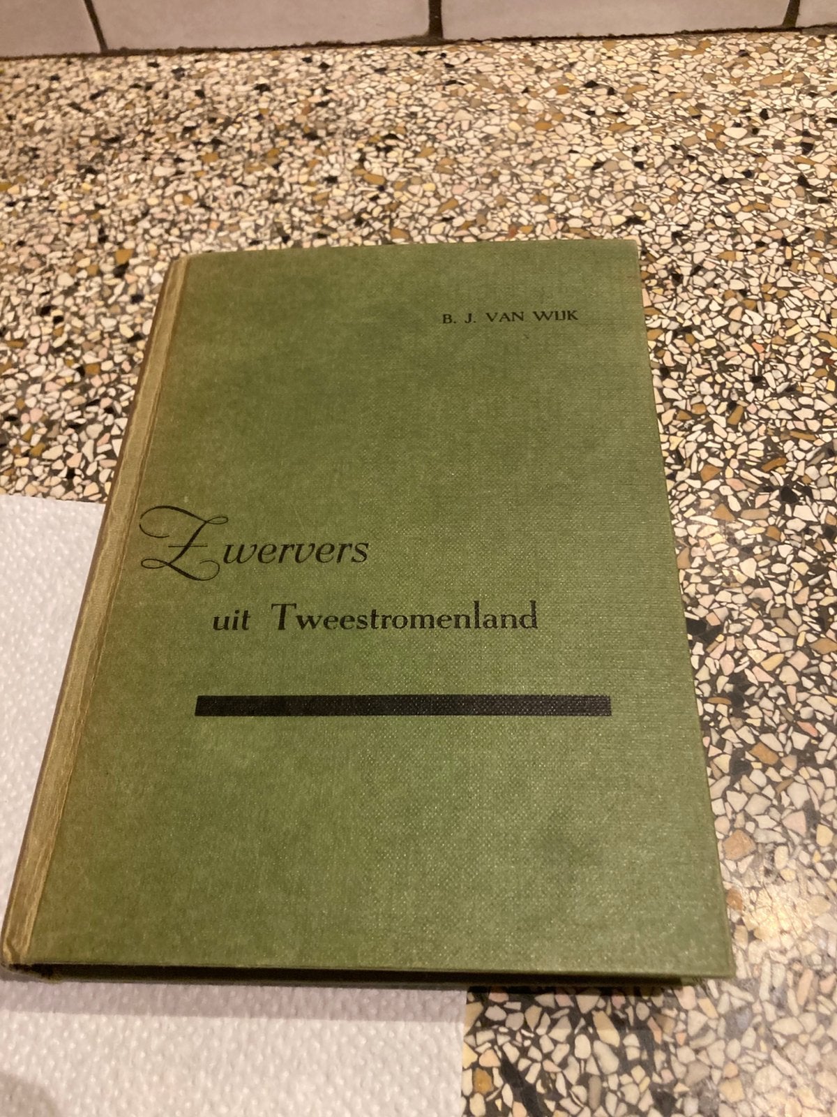 Zwervers uit tweestromenland, Ophalen of Verzenden, Gelezen