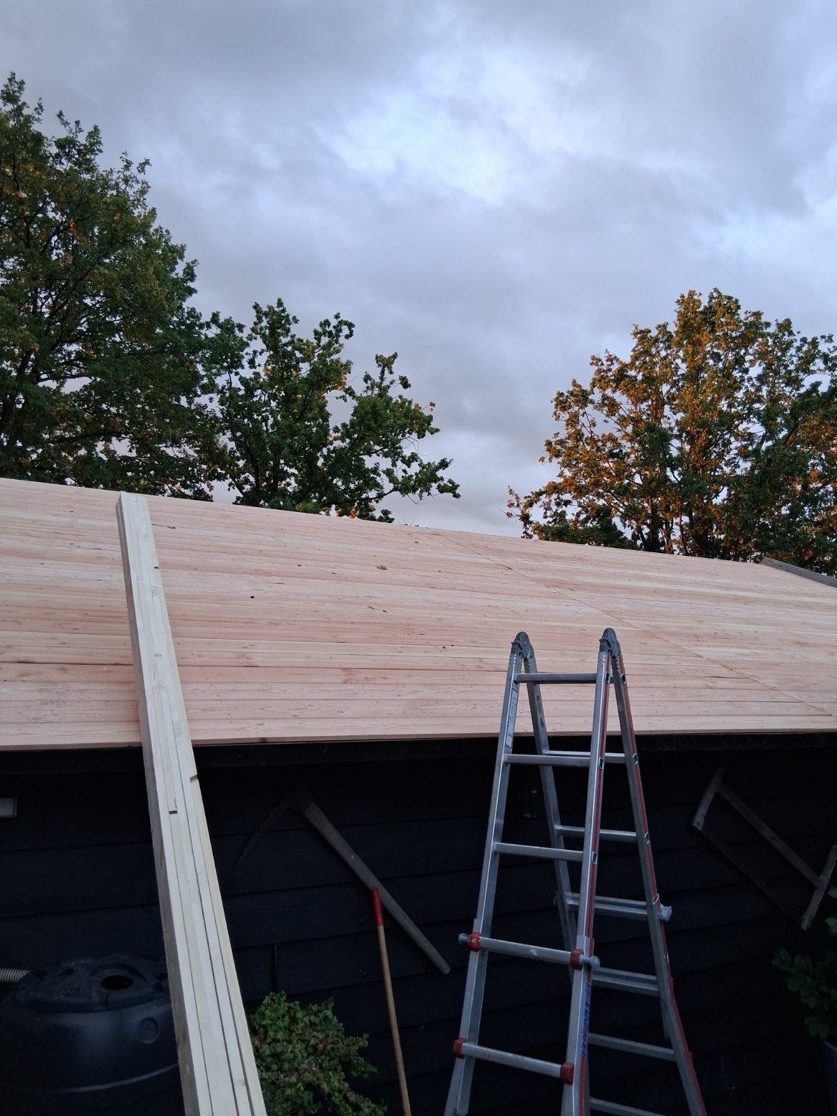 Douglas Lariks halfhoge planken/dakbeschot, Doe-het-zelf en Verbouw, Ophalen, Minder dan 25 mm, Nieuw, Plank