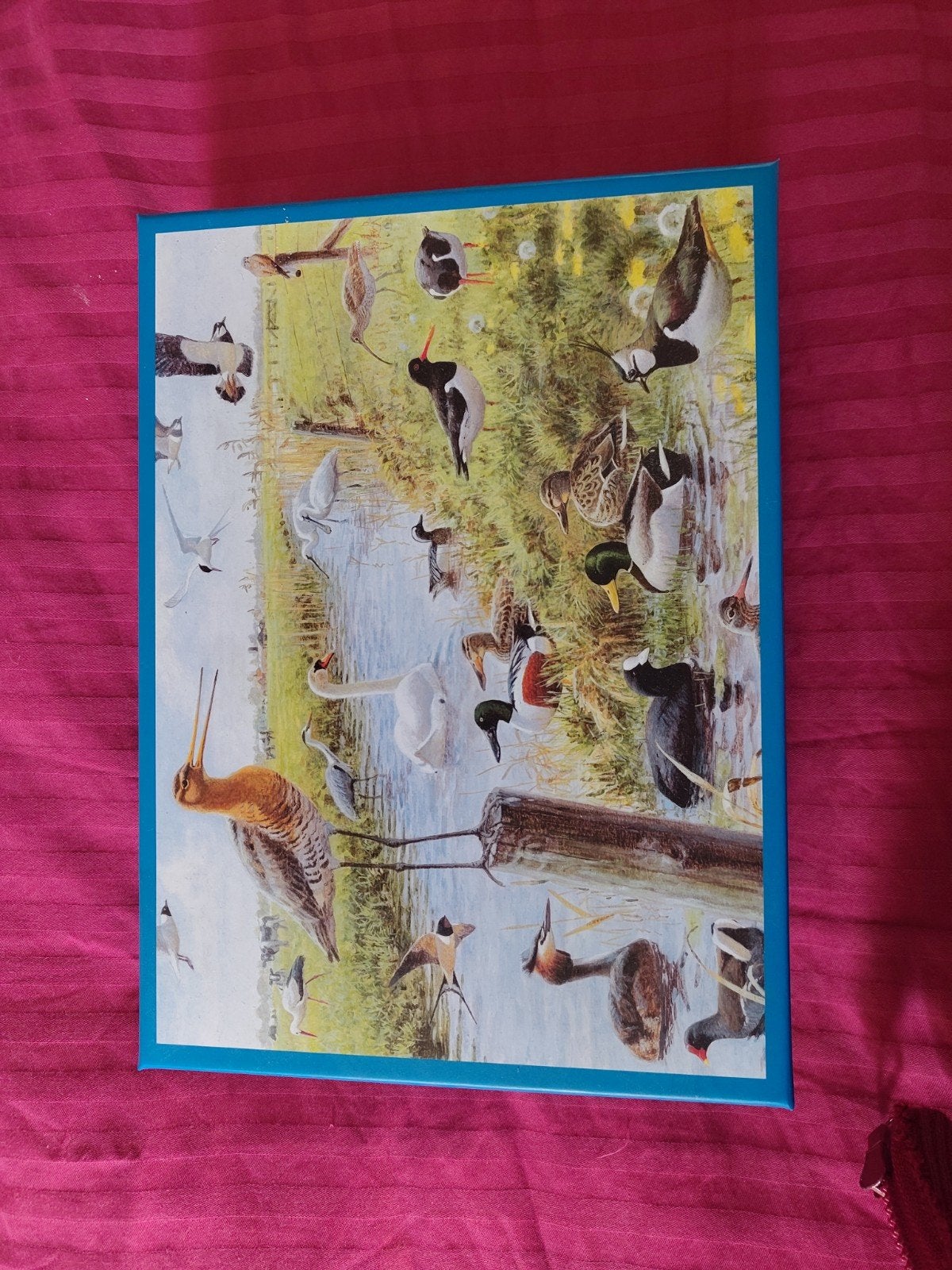 Diverse puzzels: Wasgij, Falcon, 500-1000 stukjes,, Ophalen of Verzenden, 500 t/m 1500 stukjes, Gebruikt, Legpuzzel