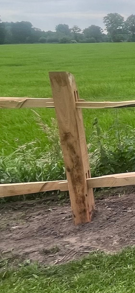 Acacia Robinia post en rail hekwerk 2 liggers, Ophalen, Nieuw, Hout, Tuinhek