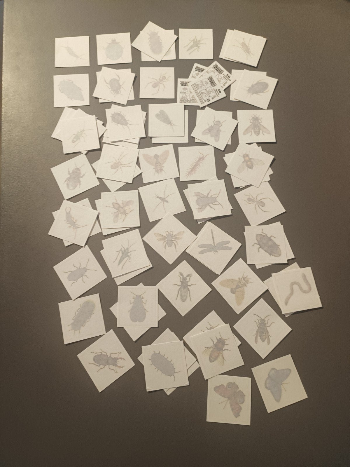 Tijdelijke tatoeages insecten - 70 stuks, Ophalen of Verzenden, Nieuw, Jongen of Meisje