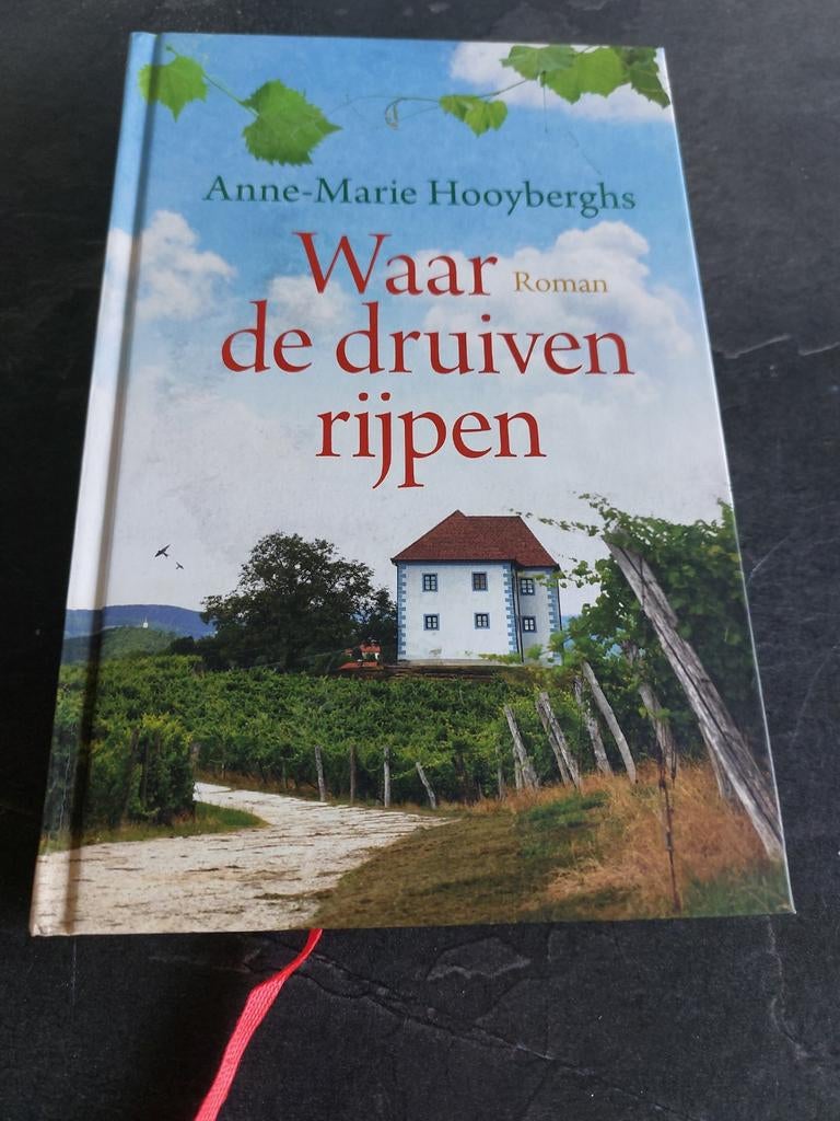 Waar de druiven rijpen - Anne-Marie Hooyberghs Roman, Ophalen of Verzenden, Gelezen, Anne-Marie Hooyberghs, België