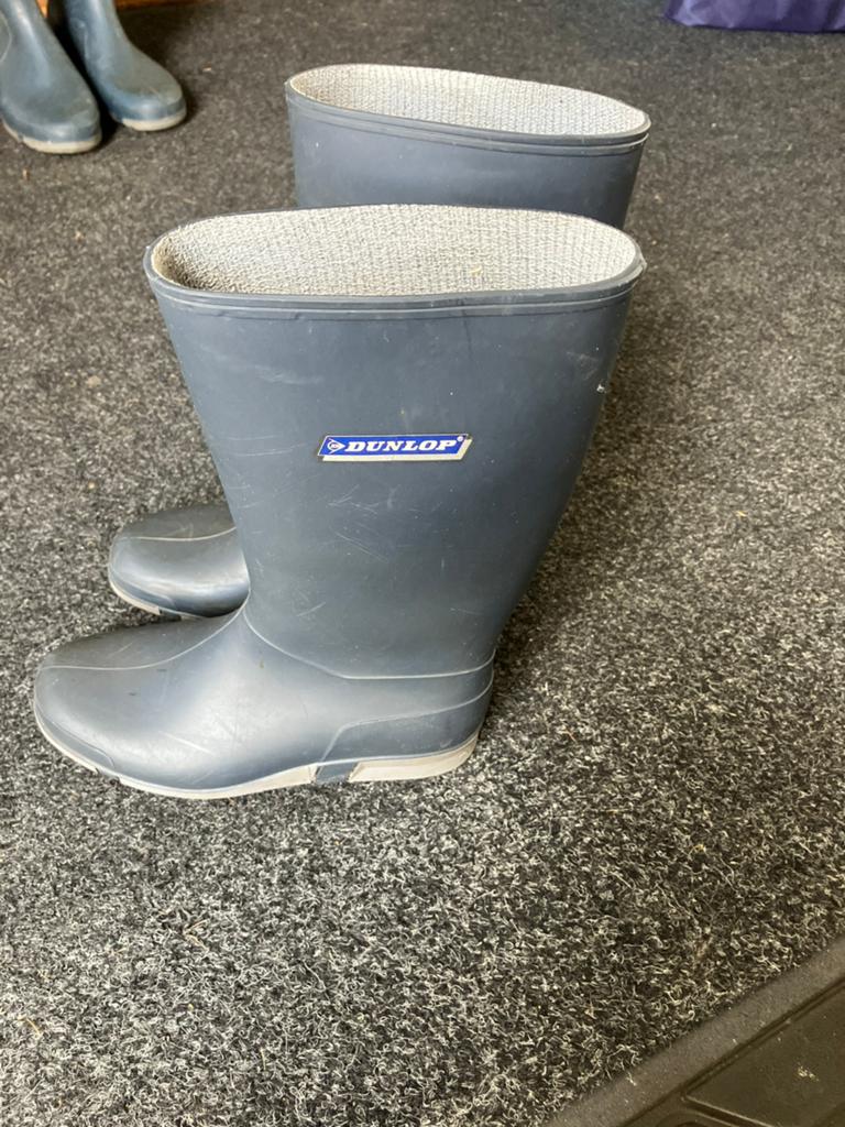 DUNLOP dames regenlaarzen maat 38, Gebruikt, Ophalen of Verzenden, Laarzen, Dames