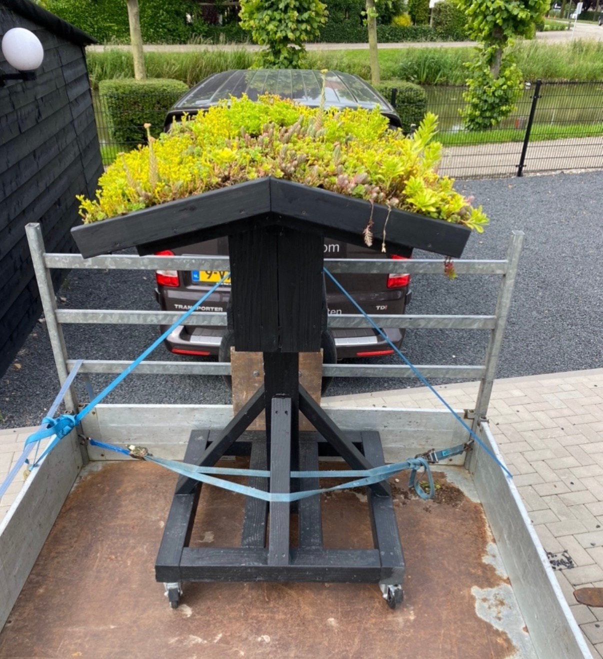 Vogel voeder villa met groen Sedum dak op bestelling gemaakt